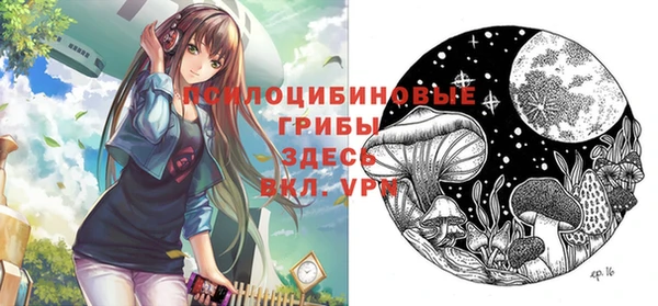 не бодяженный Магас