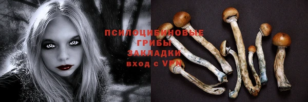 не бодяженный Магас