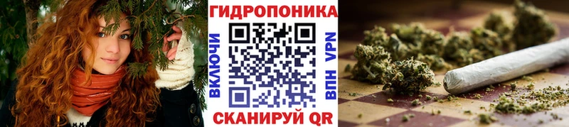 Бошки марихуана White Widow  Купить где  Майкоп 